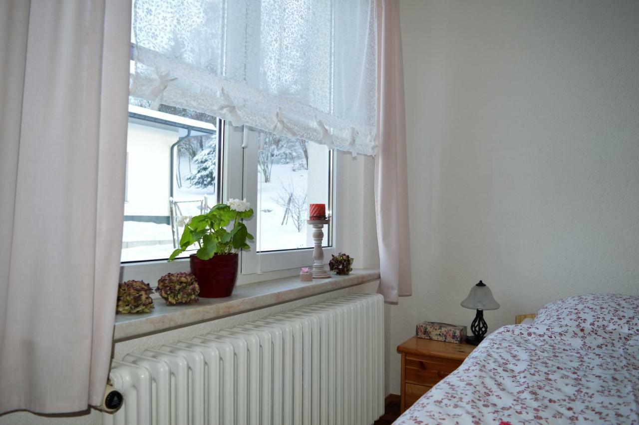 Deine Ferienwohnung Falkenstein  Екстериор снимка